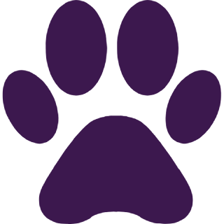 logo-pata